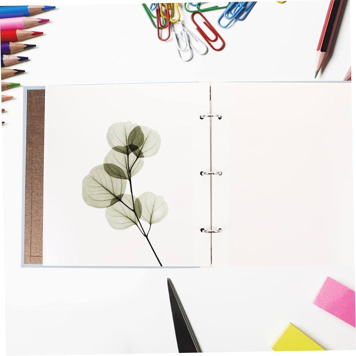 COHEALI Pressed Flower Photo Album Dried Flower Storage Album Pressed Flower Specimen Holder DIY Pressed Flower Book Decorative Pressed Flower Album Plant Stand Paper Dried Flower