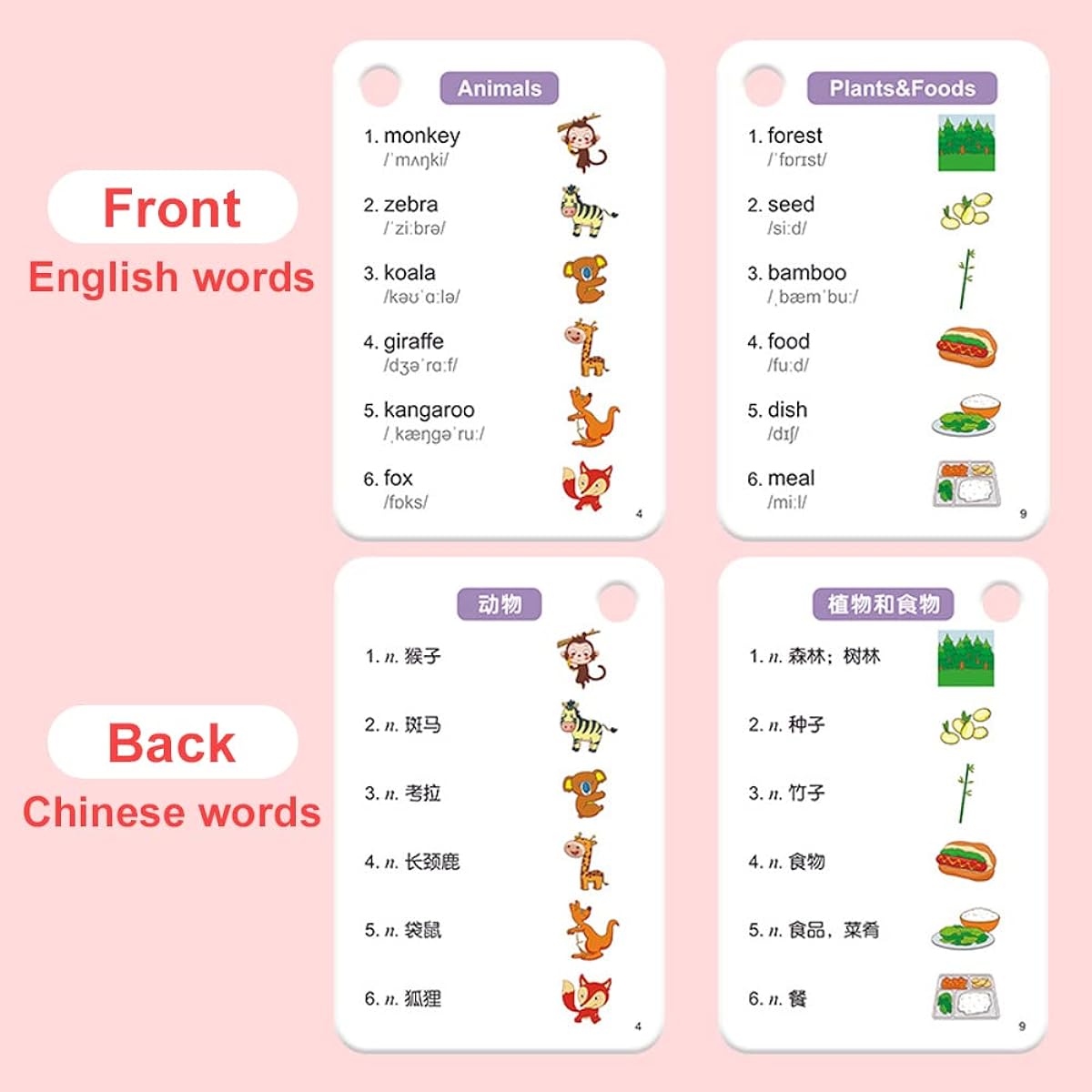 Bilingual flash cards in English and Chinese.