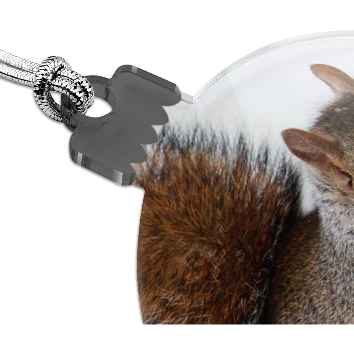 Winter Eating Squirrel Acrylic Christmas Tree Holiday Ornament