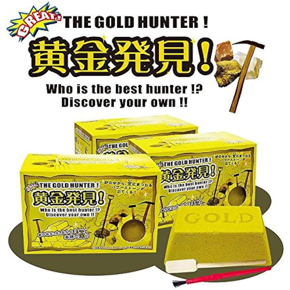 Nor Corporation Treasure Discovery Series Gold Discovery 24 pieces