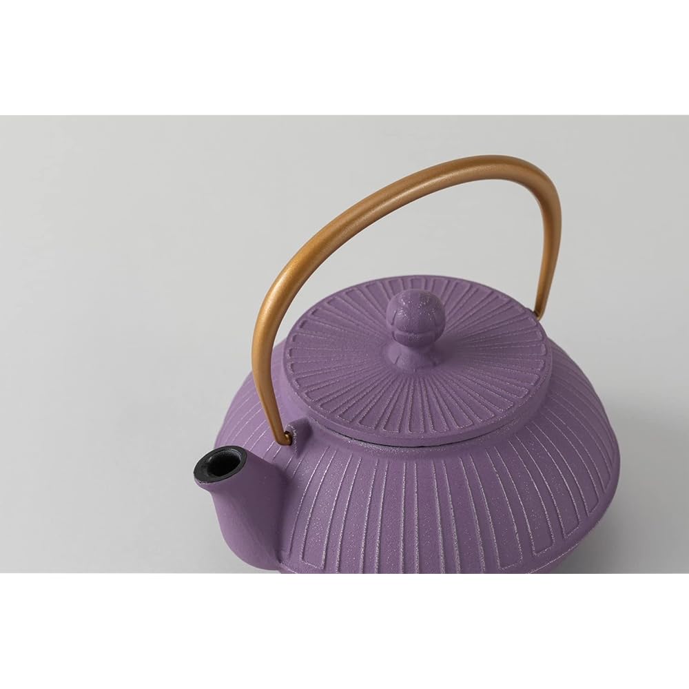 Iwachu Teapot 5 Type Chrysanthemum Silver/Lavender 0.65L Enamel Inside Nambu Ironware 44550