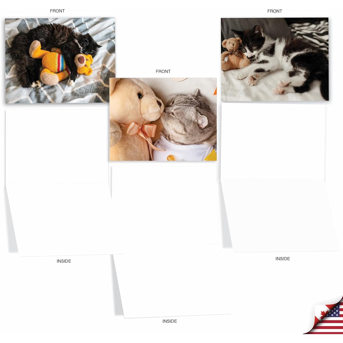 The Best Card Company Teddy Cat - Assorted Box of 20 All Occasion Notecards with Envelopes (10 x 5.12 inches) - AM2821OCB-B2x10