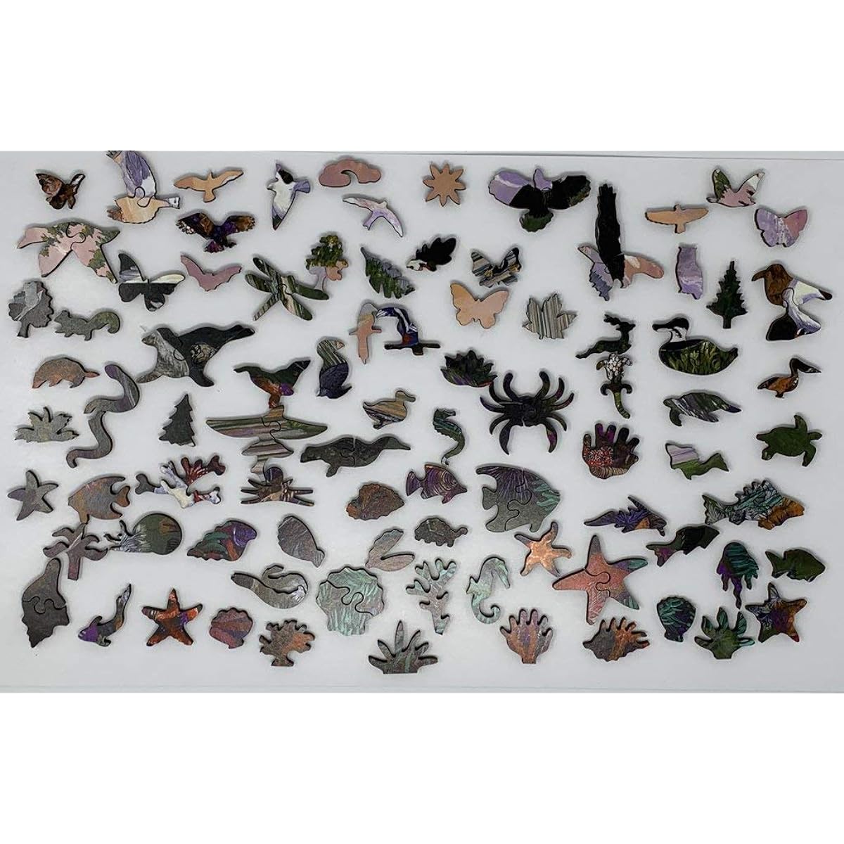 Wooden Jigsaw Puzzle - Two Side of The Sea by Larry Eifert - 501 pieces. Made in the USA by Nautilus Puzzles.