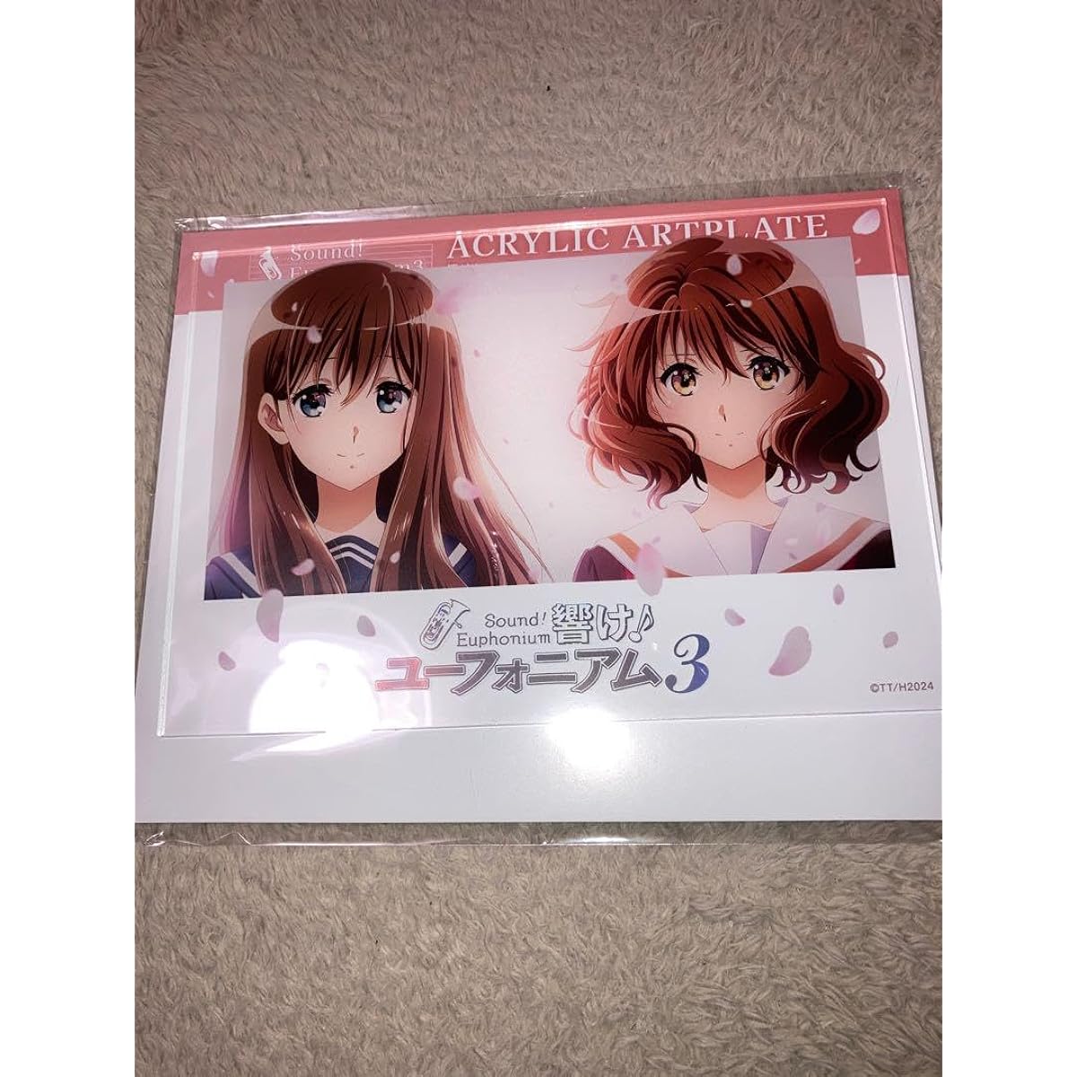 Sound Euphonium Acrylic Art Plate
