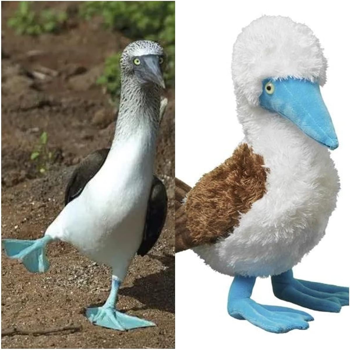Little Heart Simulation Blue Footed Booby Plush Toy 10.65inch Super Soft Cute 2ps Blue Footed Booby Stuffed Animal Toy Fun Kids Gift Home Decoration