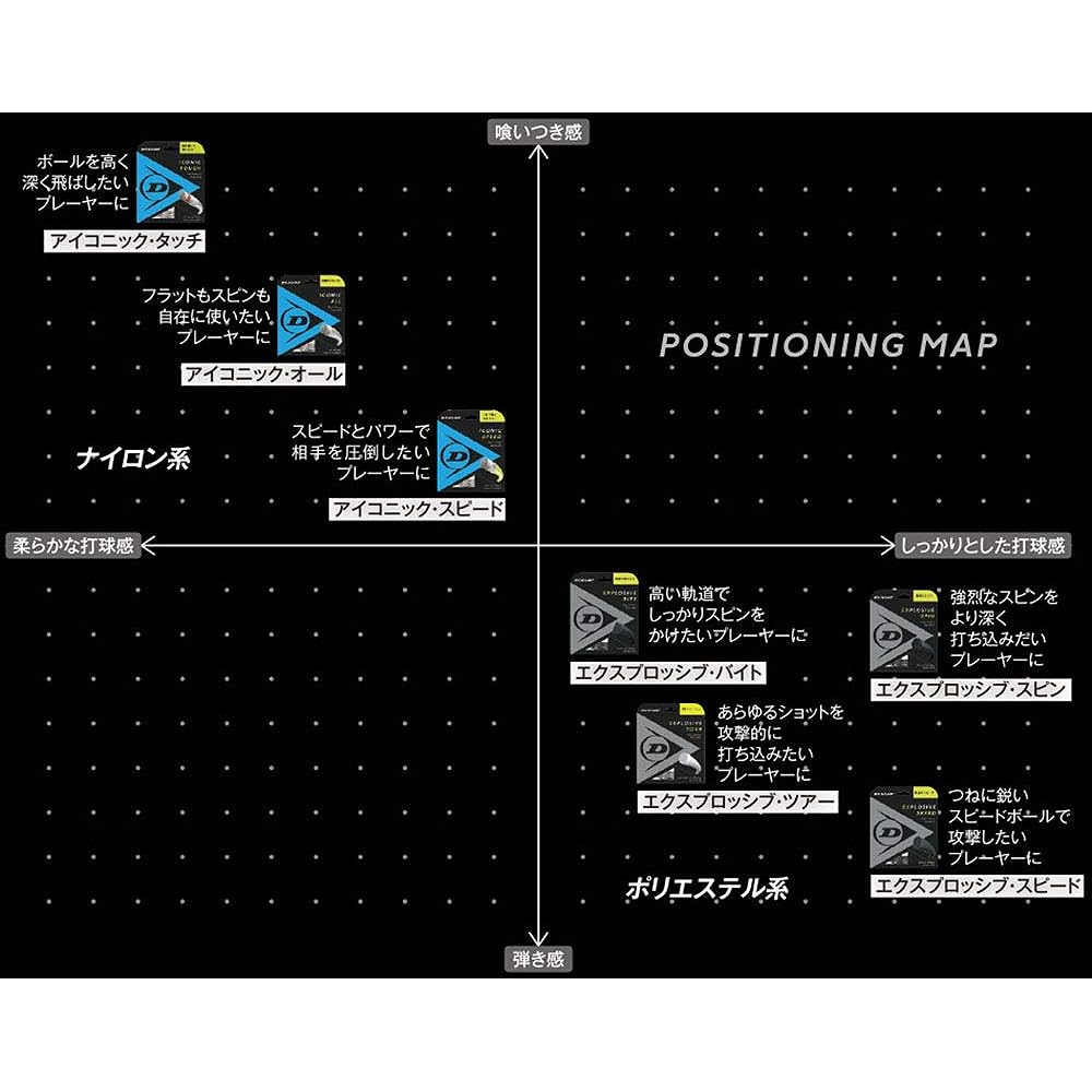 DUNLOP Tennis Hard Tennis Iconic Touch Single 12m Natural DST31011