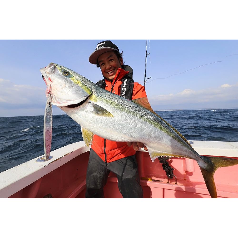 Nature Boys Metal Jig Wiggle Rider 190g Anchovy WR1190-04K Lure