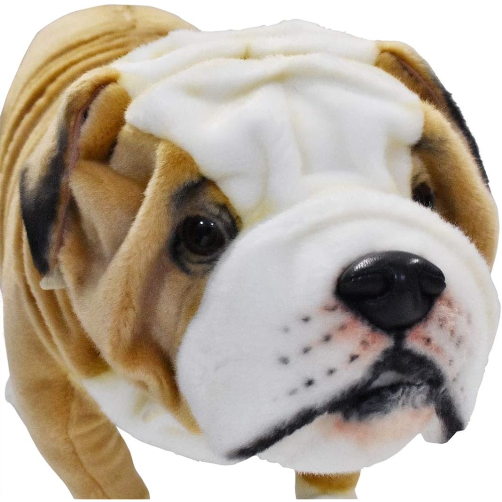 British Bulldog No.5626