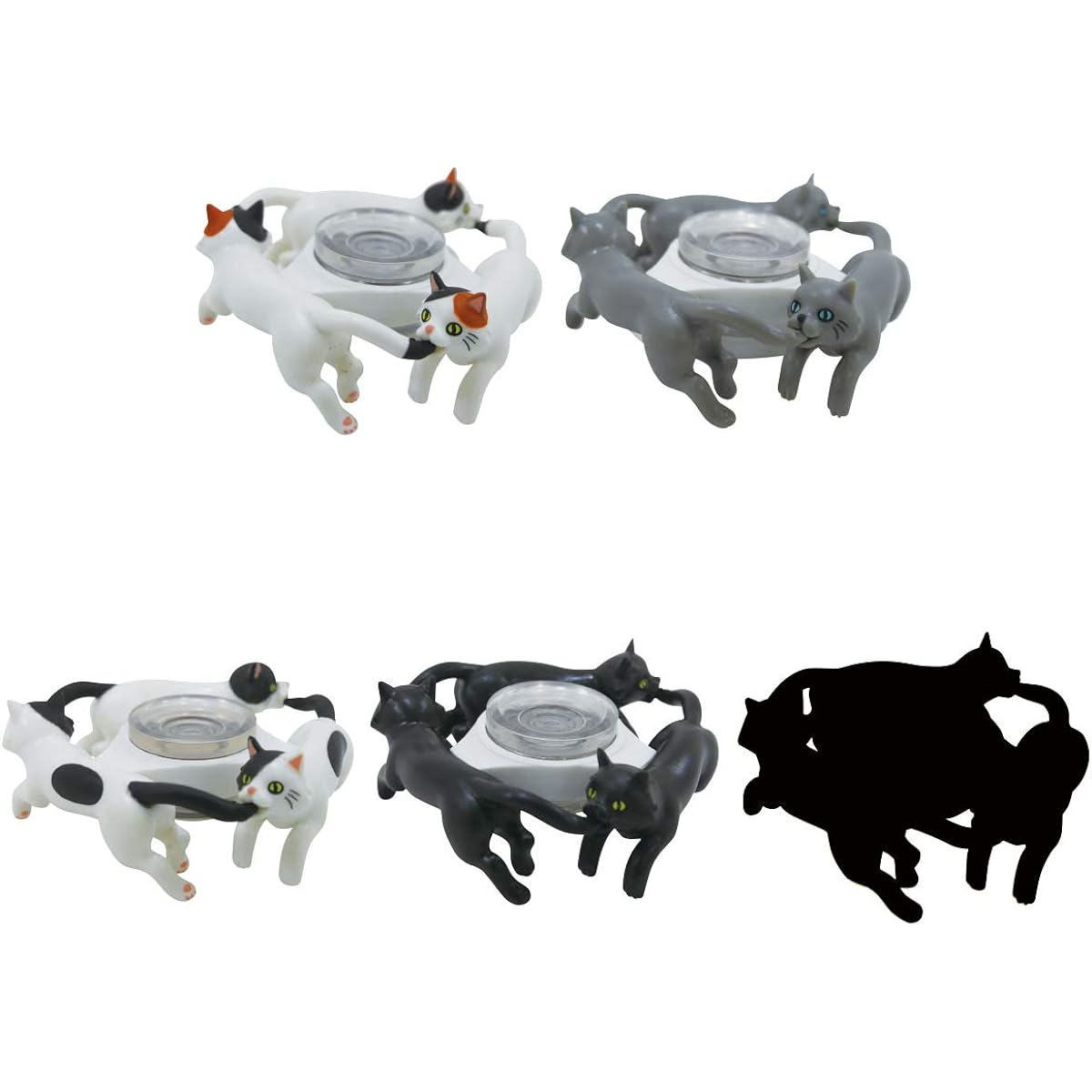 Spinya - 5 types in total