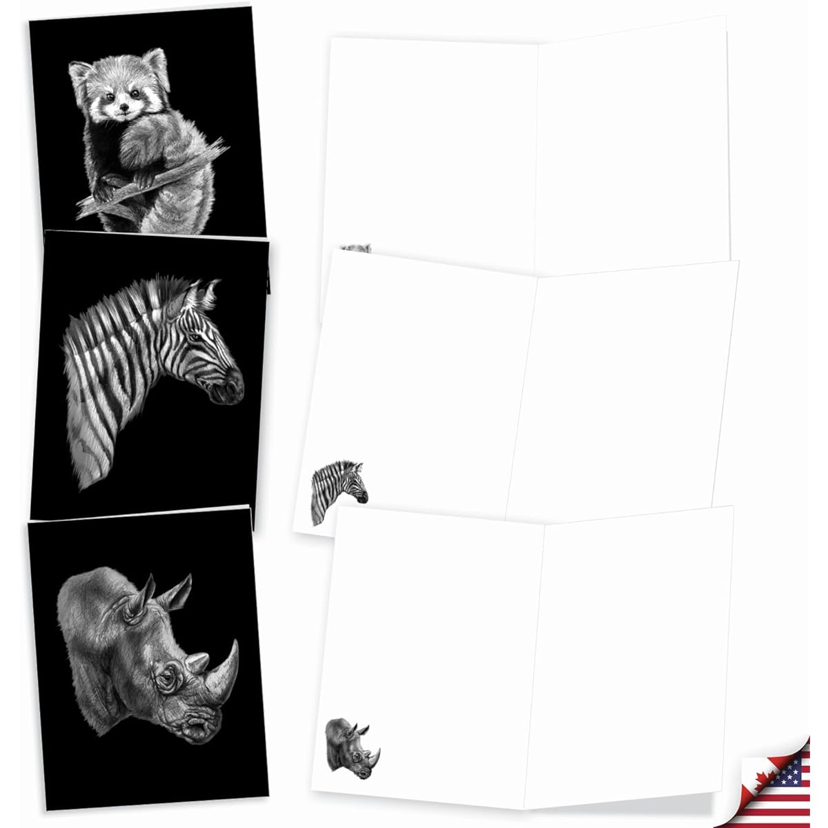 The Best Card Company Wildlife Sketches - Box of 20 All Occasion Notecards with Envelopes (4 x 5.12 inches) - AM2817OCB-B2x10