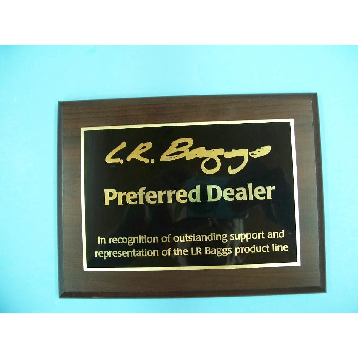 LR Baggs violin pickup