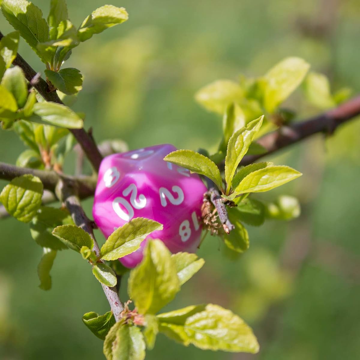 Paladin Role Playing Pink and White DND Dice - 'Cherry Blossom'