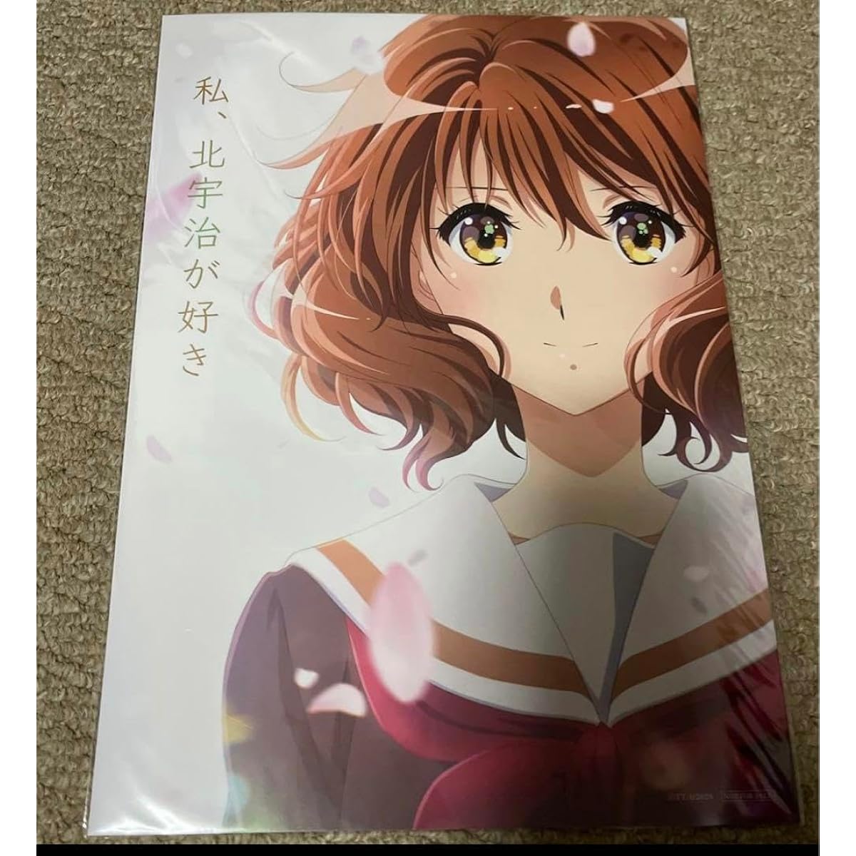Special Edition Sound Euphonium Ensemble Contest Admission Bonus Visual Board