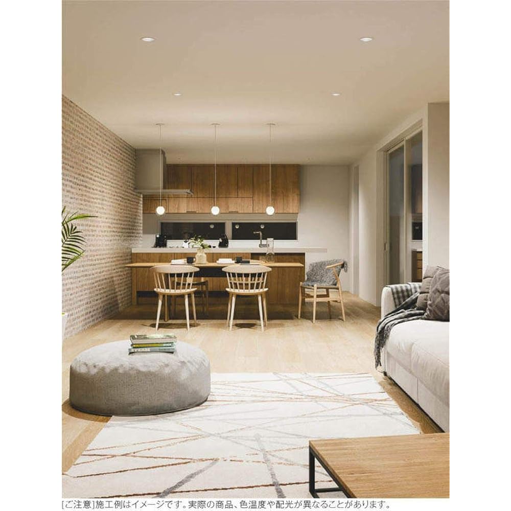 Koizumi Lighting Comfort Downlight Diffused Light Bulb Color Daylight White Powder White AD1044W99
