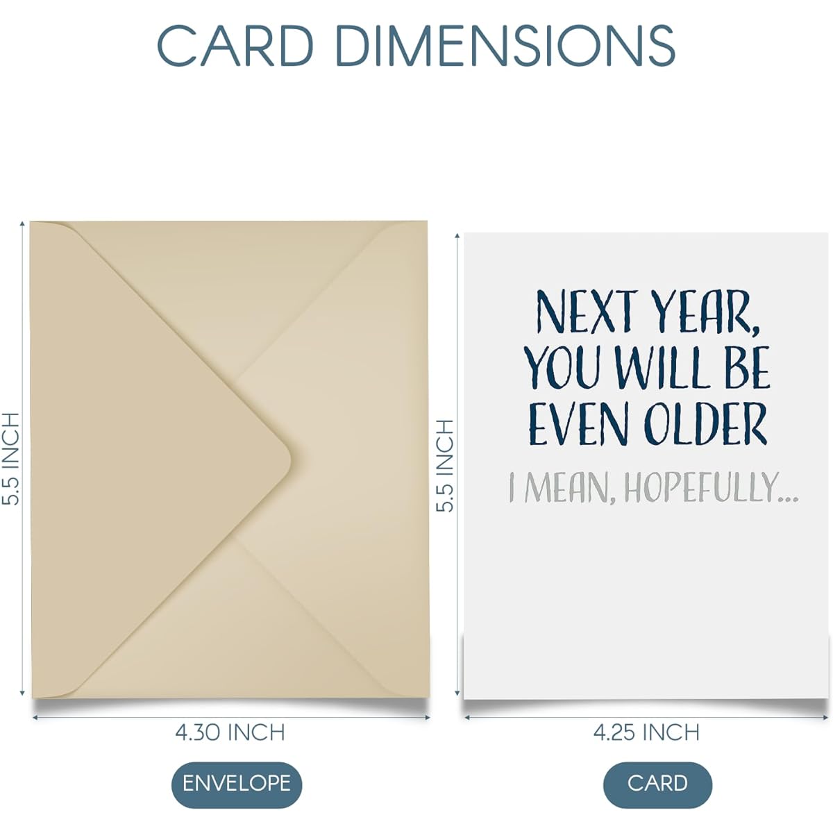 Modern Wit Funny Birthday Card for Men and Women, Happy Birthday Card, Single 4.25 x 5.5 Greeting Card with Envelope, Blank Inside, Next Year You Will Be Even Older, I Mean Hopefully
