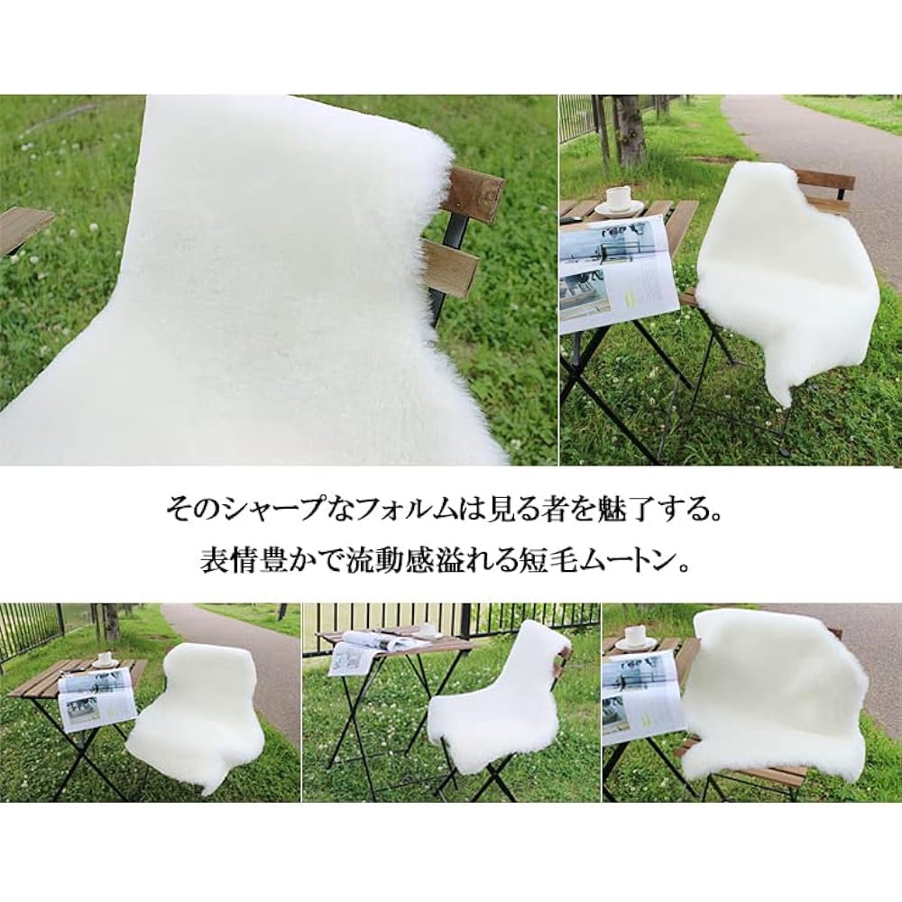 Shearling Rug Natural New Zealand Short Hair 1 Animal Rug Ivory 60 x 90cm Washable NFOIV1
