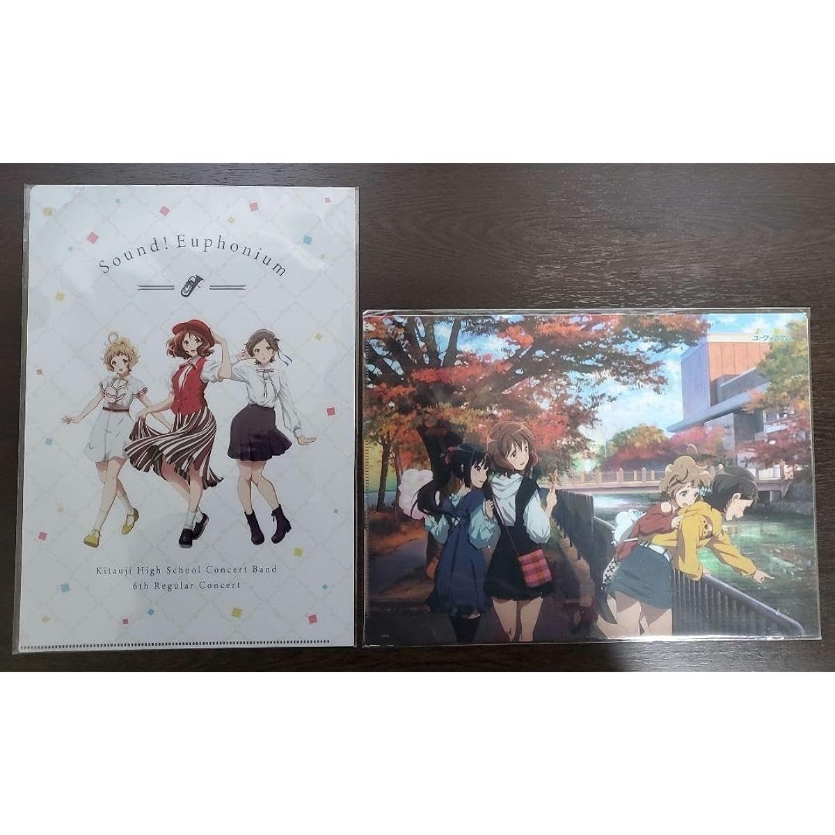 Sound! Euphonium Clear File Set