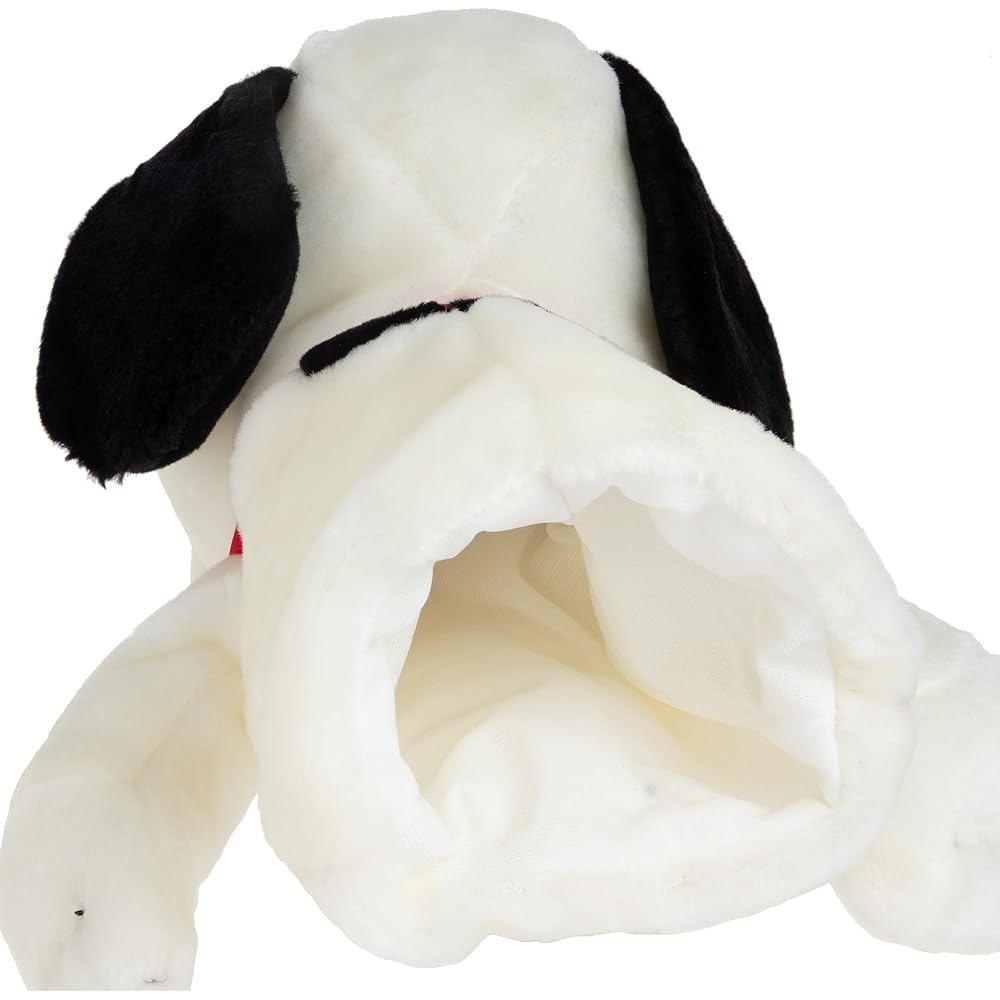 LITE News Noopy DR H-150