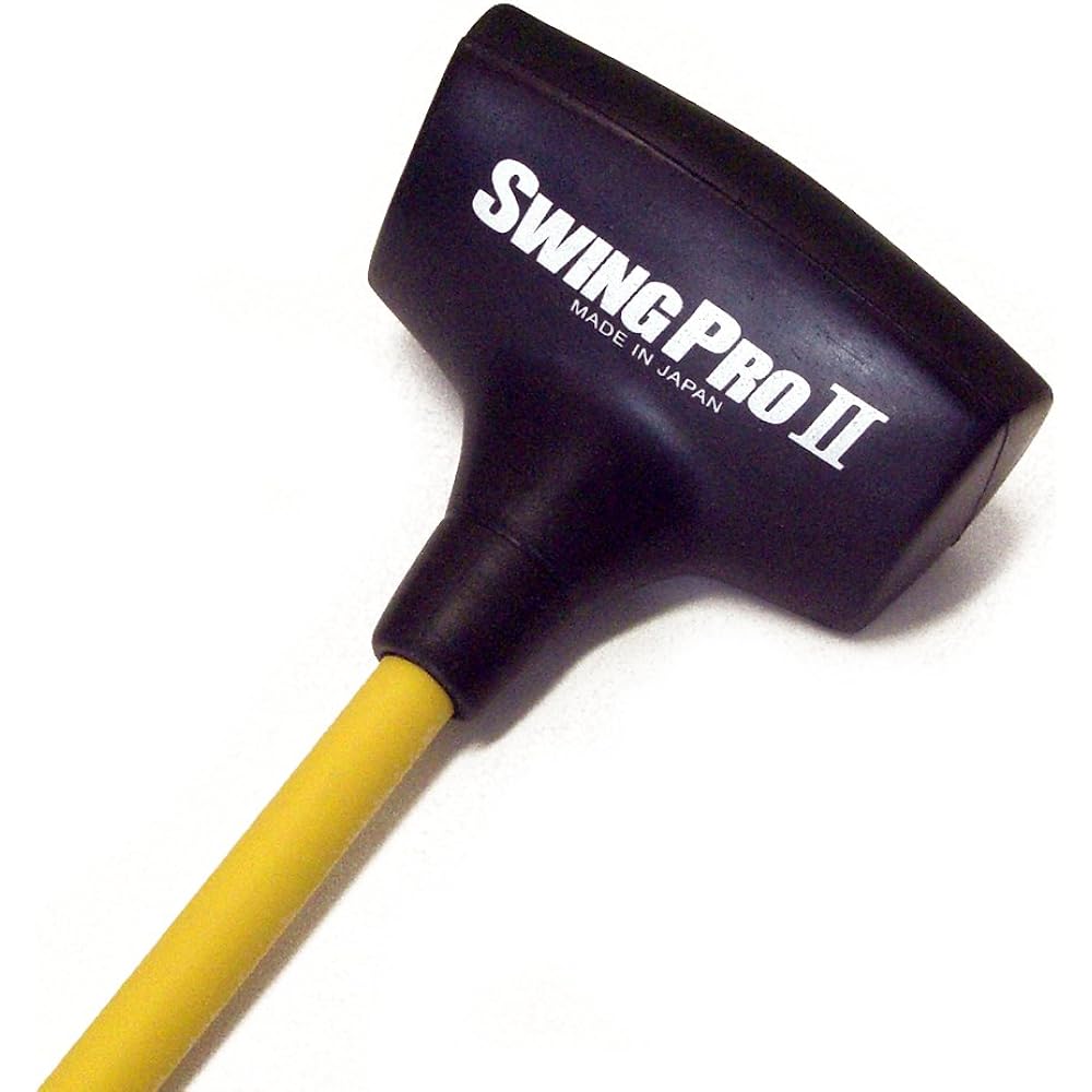 RyomaGOLF SWING PRO 2 Outdoor with DVD