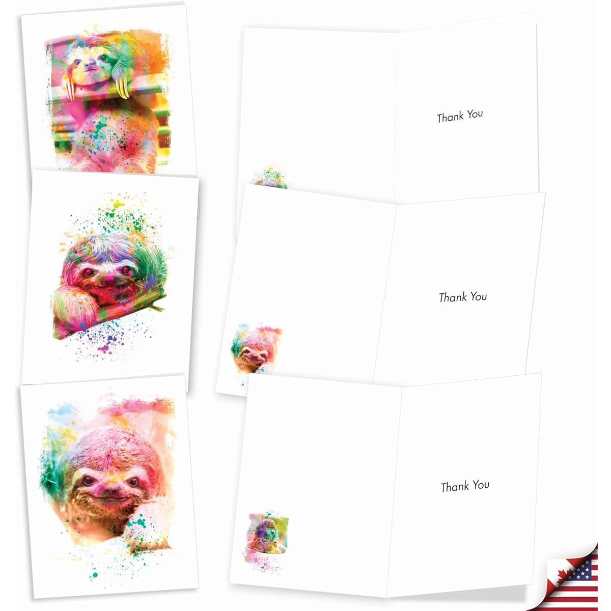 The Best Card Company Funky Rainbow Sloth - Box of 20 Thank You Cards with Envelopes (4 x 5.12 inches) - AM6866TYG-B2x10