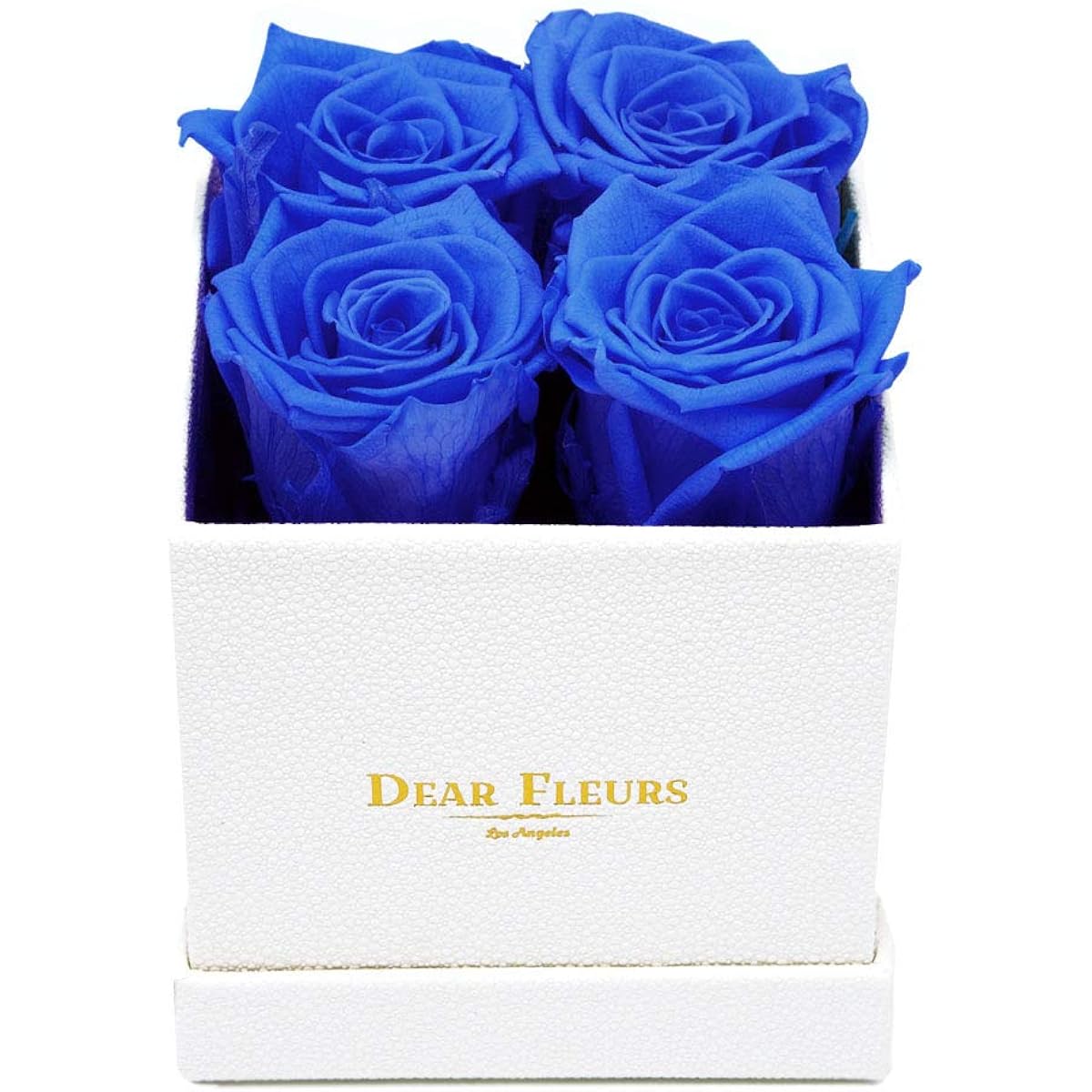 Small Square Roses | Real Roses that last a year | Preserved Roses in a Box (Royal Blue with Black Leather Finish Box)