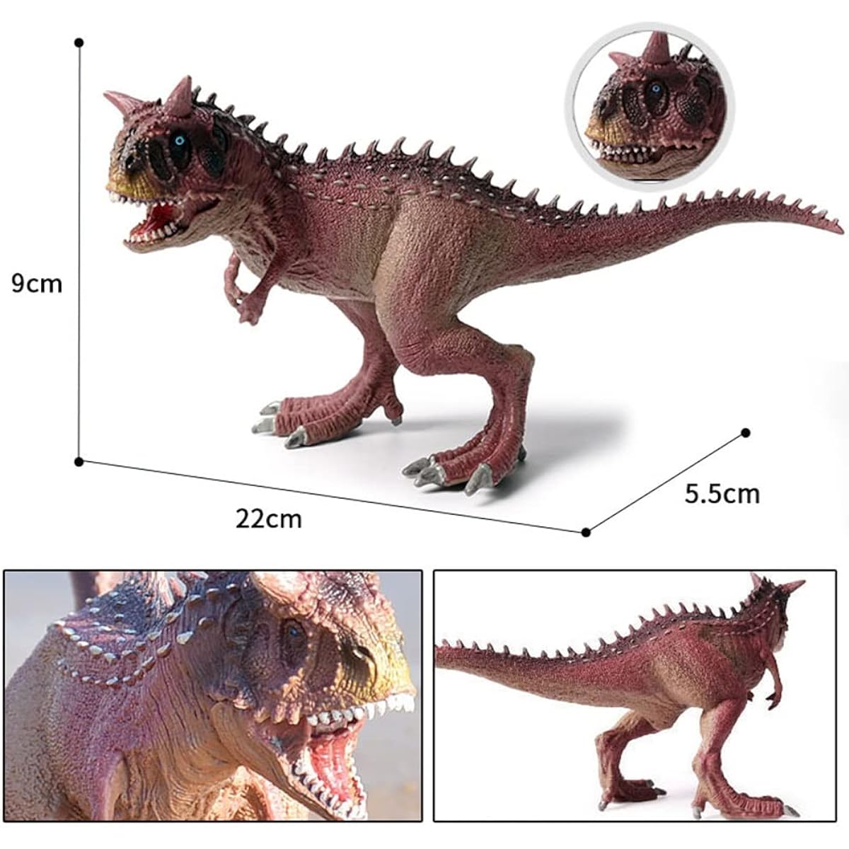 Carnotaurus Jurassic Carnivorous Dinosaur Model Realistic Craft Figure Toy Powerful Mouth Opening and Closing Stands on Both Feet Birthday Present Kids Toy PVC Solid Educational Toy Educational Dinosaur Toy Decoration 22cm Class (Purple)