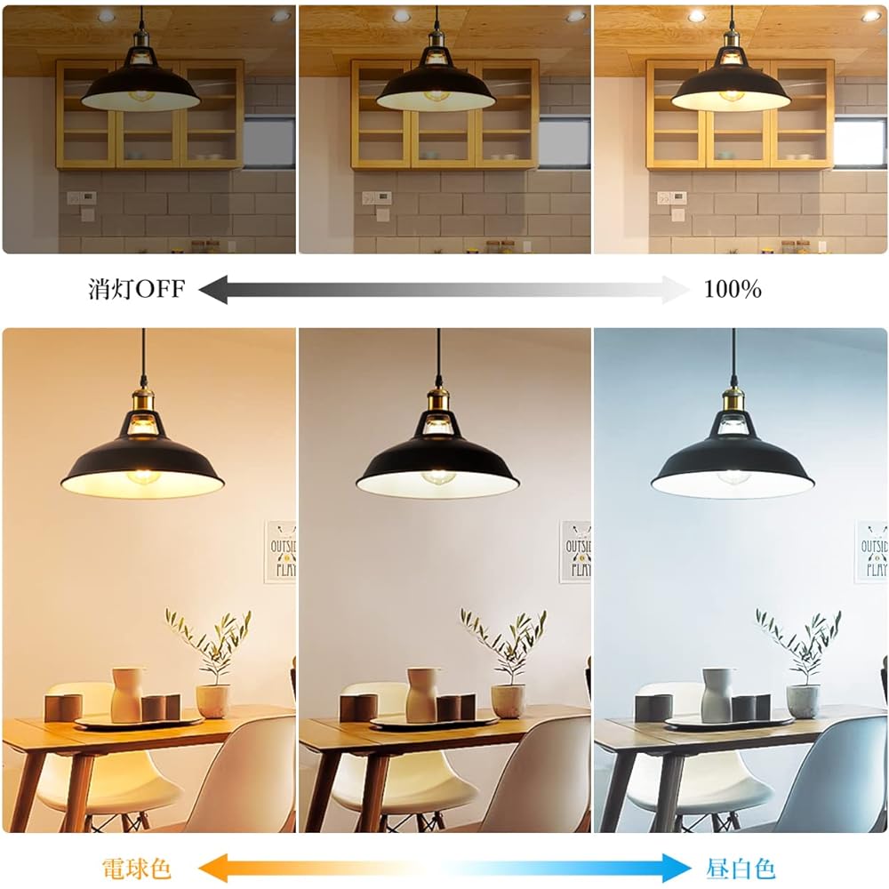 LVWIT Pendant Light E26 Base, 10.6 inch (27 cm) Diameter, Antique Retro LED Bulb, Dimmable Color Edison Bulb, 6W Power Consumption, Remote Control, Cord Included, 23.6 inches (60 cm), Adjustable