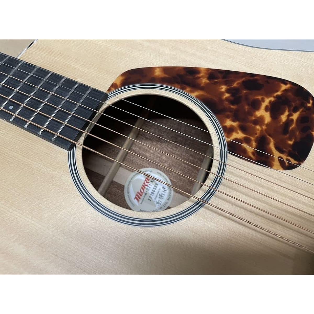 Morris M-021 NAT Solid spruce top Morris Dreadnought size Acoustic guitar Acoustic guitar Beginner Outlet Different rosette specifications