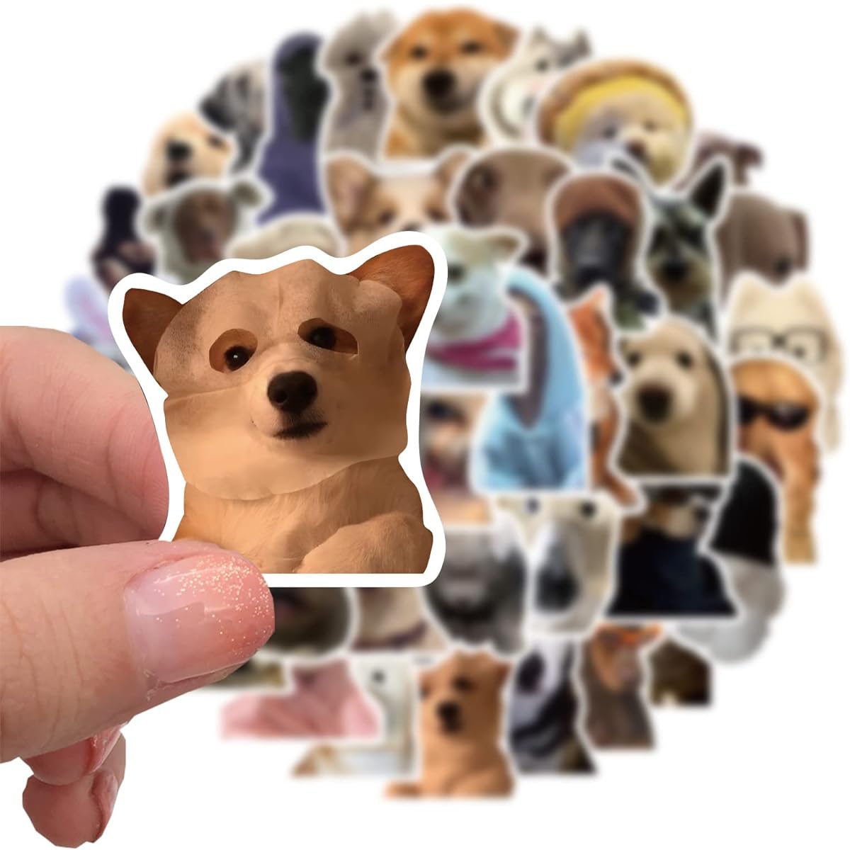 50 Funny Dog Stickers (Dogs)