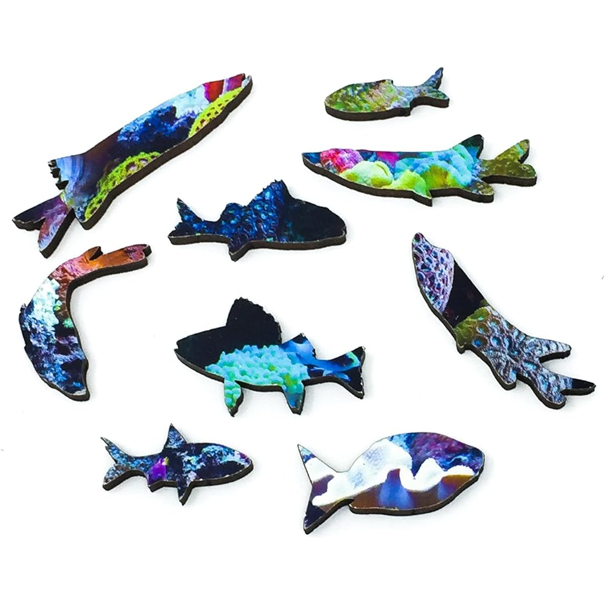 Nautilus Puzzles Wooden Jigsaw Puzzle Coral Reef 51 Unique Wooden Pieces Made in the USA