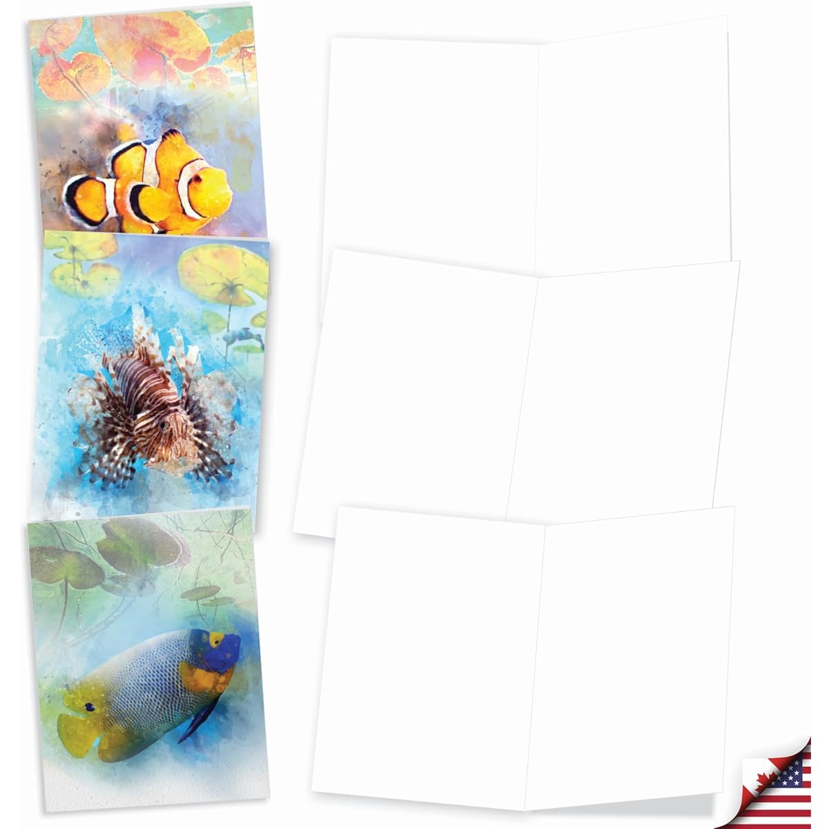 The Best Card Company Underwater Colors - Assorted Box of 20 All Occasion Note Cards with Envelopes (4 x 5.12 inches) - Painted Fish AM7176OCB-B2x10