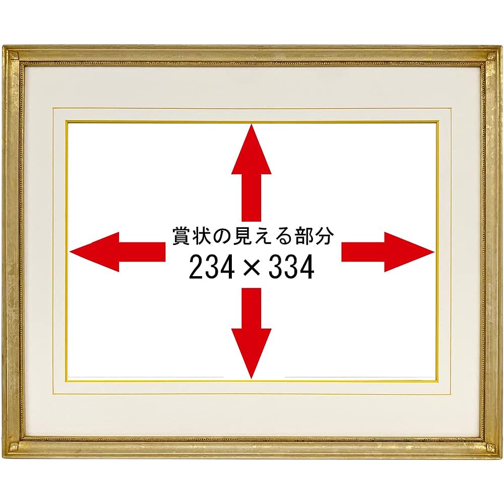 Frame for nurses license B4 certificate (258 x 365 mm) with UV protection acrylic (cuts about 98% of indoor UV rays) 7512 (white gold)