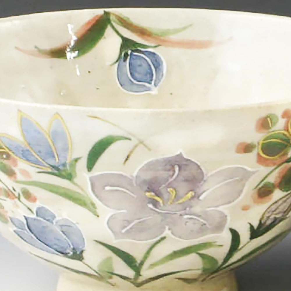 Kyoto ware Kiyomizu ware Hokuya kiln set rice bowl Autumn breeze LHA460