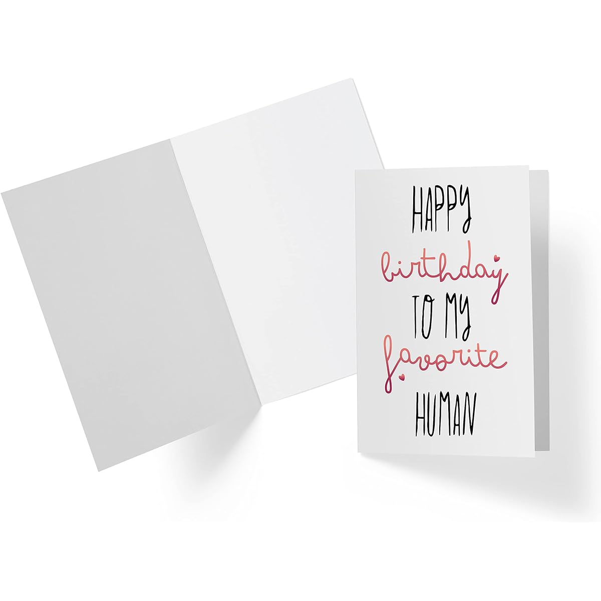 Karto Sweet Birthday Cards Birthday Cards for Girlfriend Large Size 5.5 x 8.5 inches Birthday Cards for Friends Birthday Cards for Husband and Wife - Boyfriend Birthday Cards Birthday Cards for Girlfriend - Favorite Human
