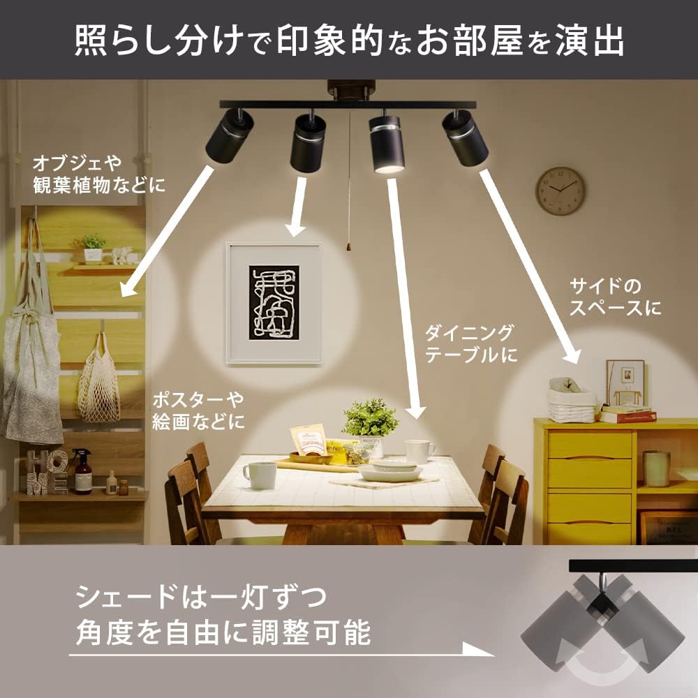 Iris Ohyama LED Ceiling 4 Lights Ceiling Light CE4LA-22SS-MB Matte Black