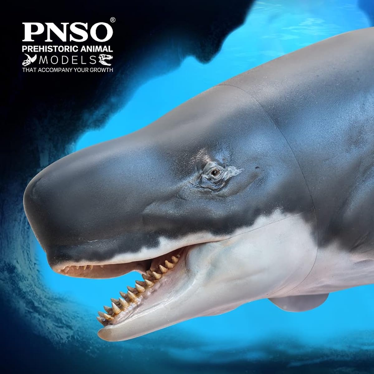 PNSO Prehistoric Dinosaur Model:56 Requena The Livyatan