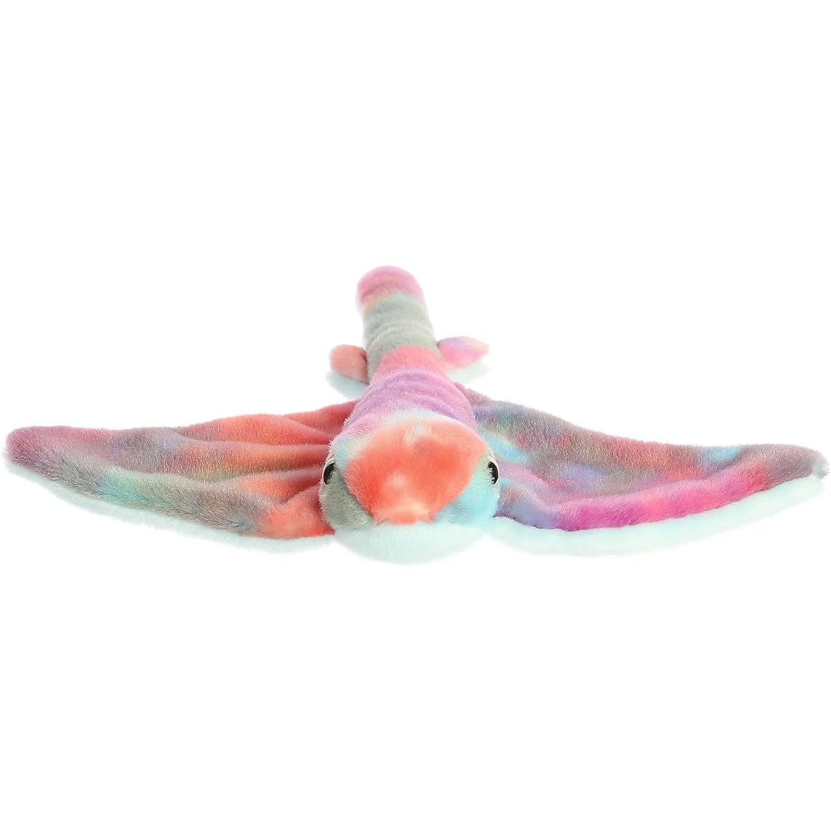 Aurora - - - 8
