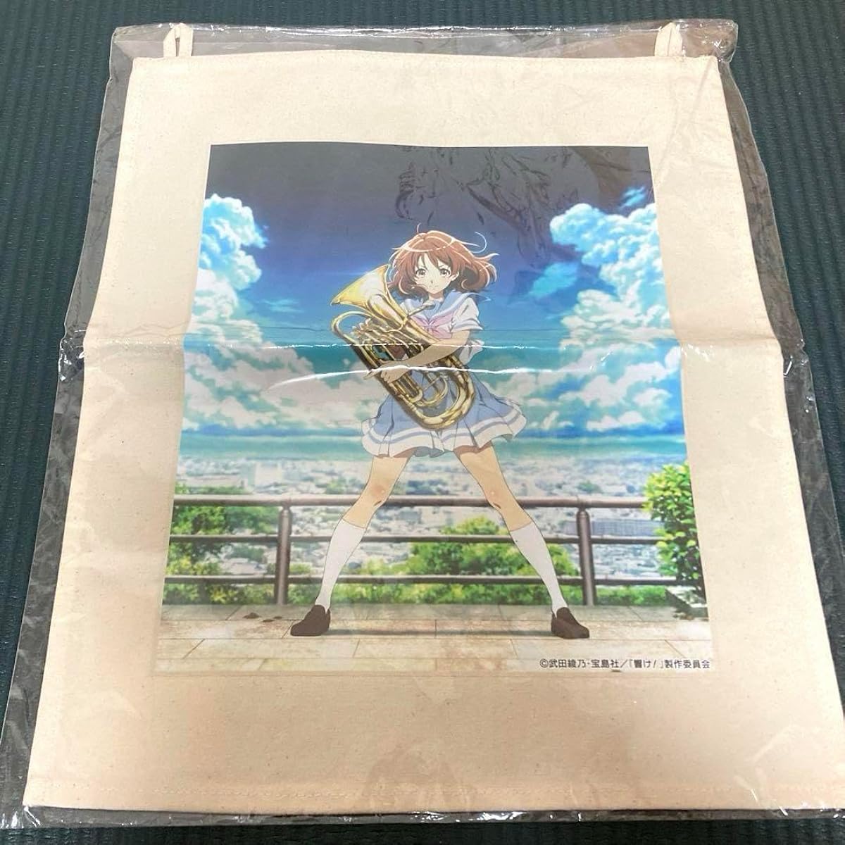 Sound Euphonium CD Jacket Canvas Poster Soundscape