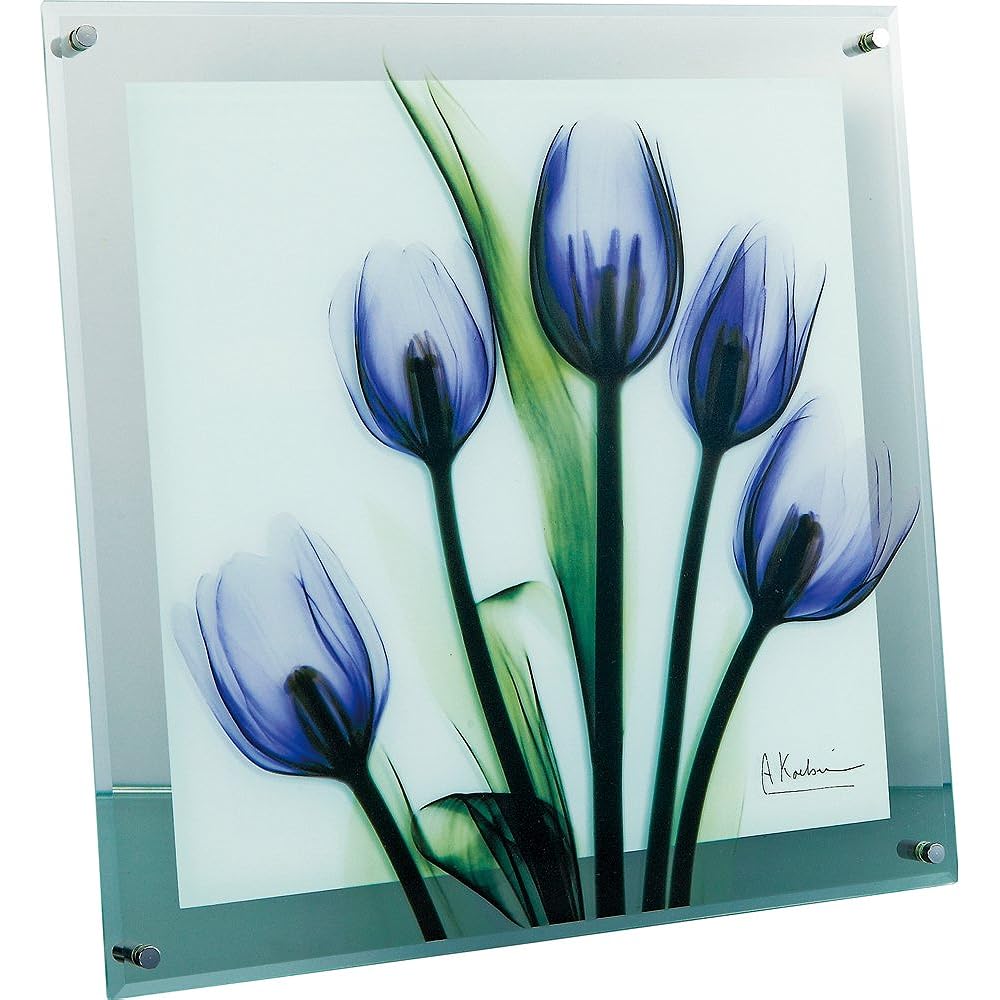 U-Power Plants/Flowers Purple W36 x H36 x D2cm