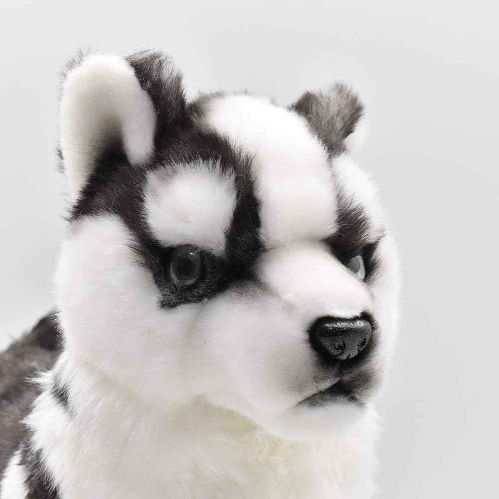 BH7512 HANSA Siberian Husky Pup 43