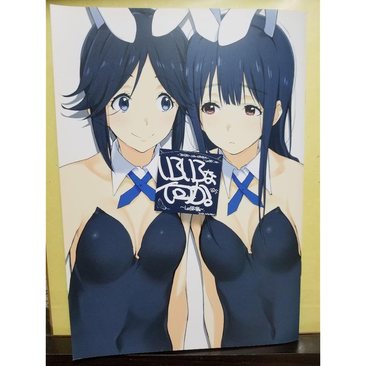 Okotanpeko Liz and the Blue Bird Sound Euphonium