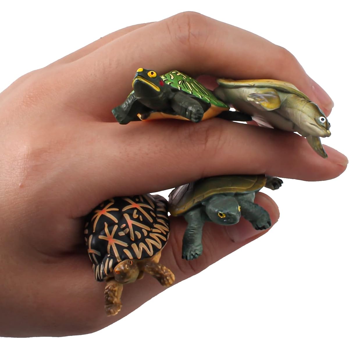 Box Turtle Toys for Kids - 4 Pieces Small Land Turtle Figurines - Realistic Turtle Figurines - Plastic Turtle Toys for Party and Favor Decoration - Turtle Collection