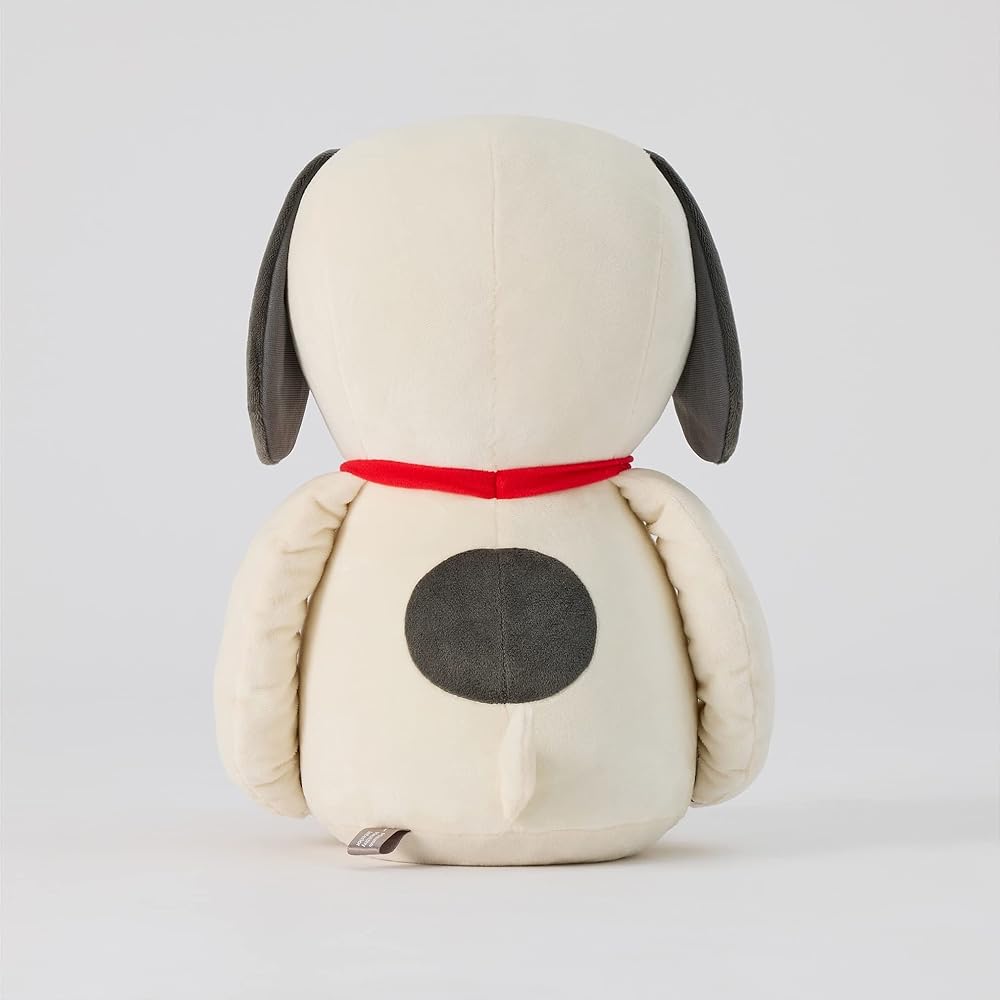 MIZUNO Healthy Interior Snoopy Medicine Ball Health Training Equipment Design that blends in with your interior Stomach area Back muscles Core From light stretching to abdominal muscle training