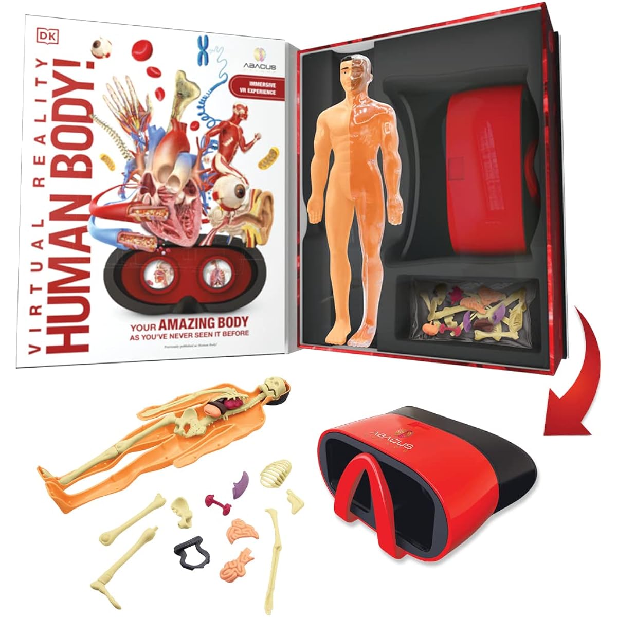 Abacus Brands Virtual Reality Human Body Illustrated Interactive VR Book and STEM Learning Activity Set