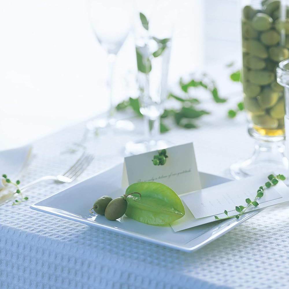 Noritake Square Plate (Pair Set) 23cm Rizmo White Microwave Safe Dishwasher Safe 2 Pieces Fine Porcelain P5342A/1610
