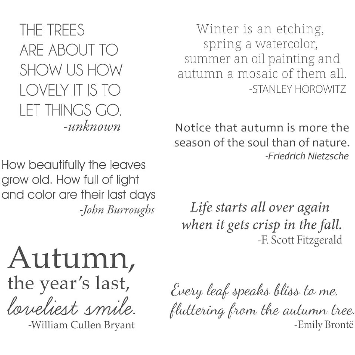 Spellbinders Stamp Autumn QUO Clear
