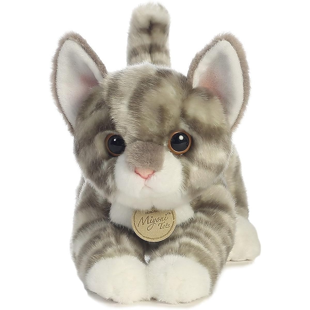 GREY TABBY KITTEN
