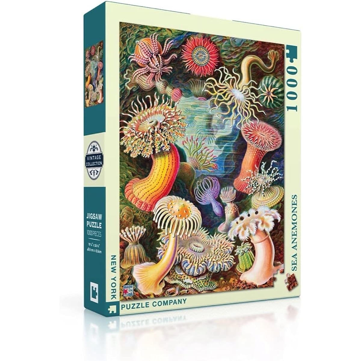 New York Puzzle Company Vintage Image Sea Anemone 1000 Piece Jigsaw Puzzle