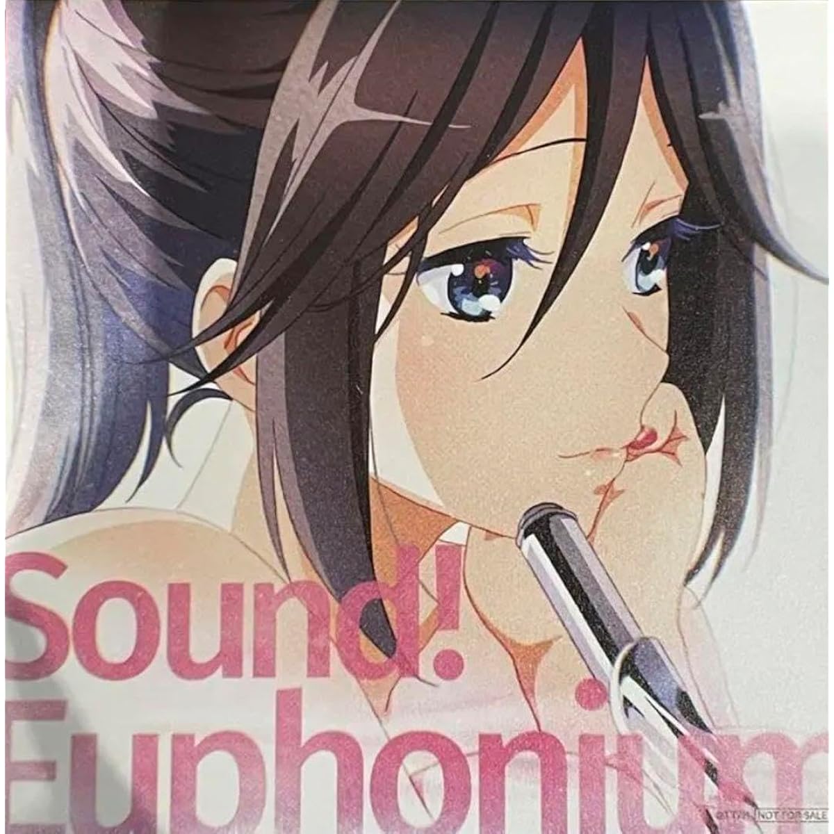 Sound Euphonium Nozomi Admission Bonus Stand Visual Card