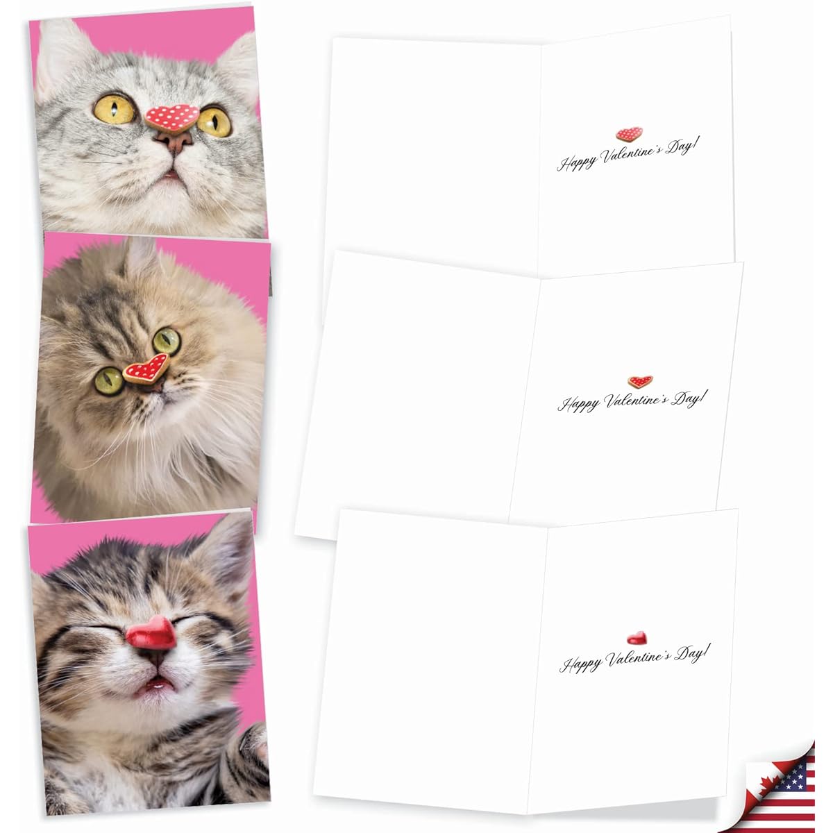 The Best Card Company Heart Cat - 20 Boxed Valentine's Day Note Cards with Envelopes (4 x 5.12 inches) - AM9266VDG-B2x10